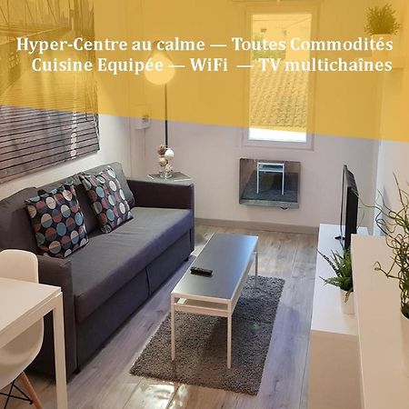 Appartement "Gabrielle" Au Calme En Hypercentre De Revel Revel  Eksteriør billede